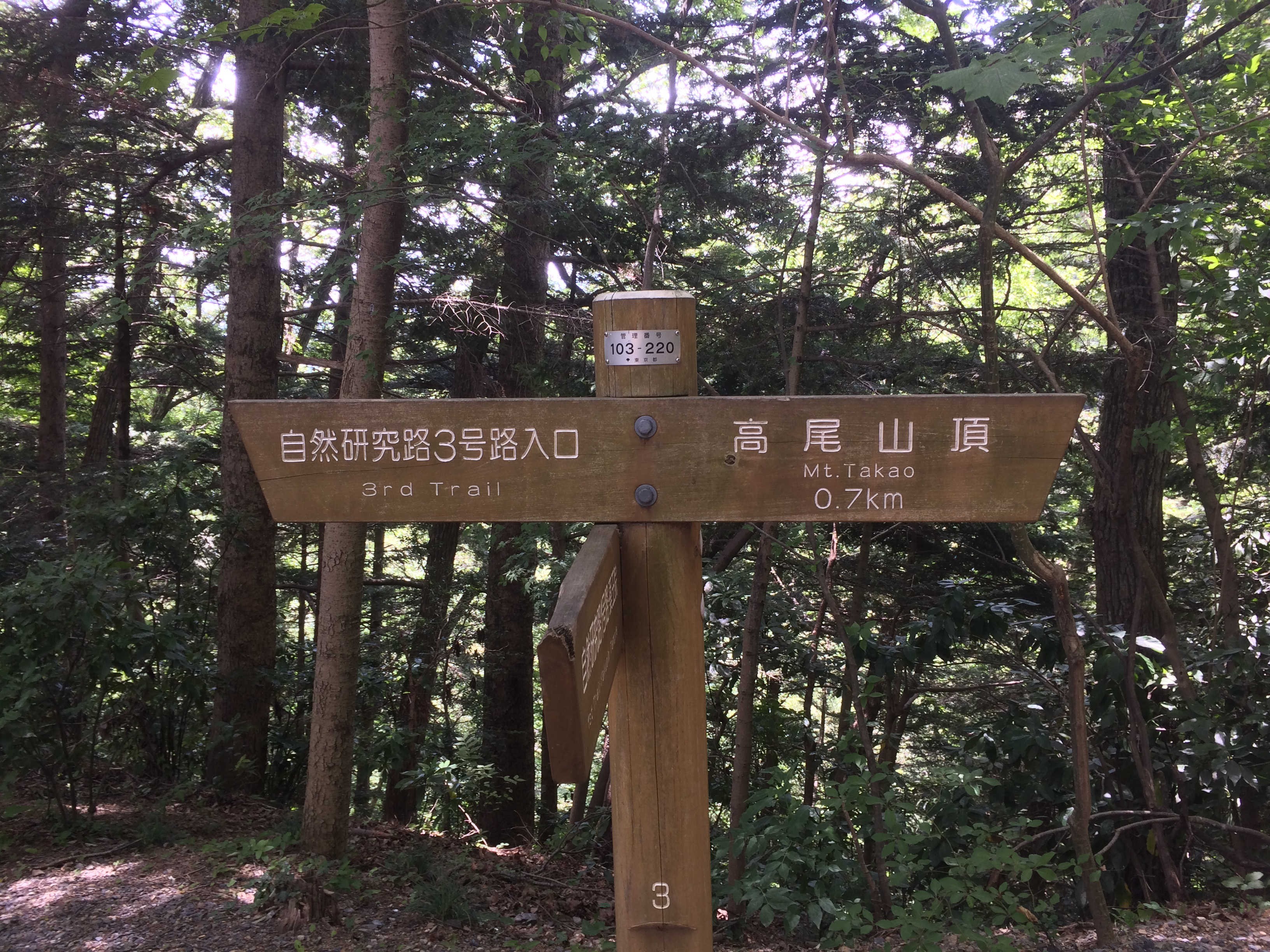 ←自然研究路3号路入口　高尾山頂→